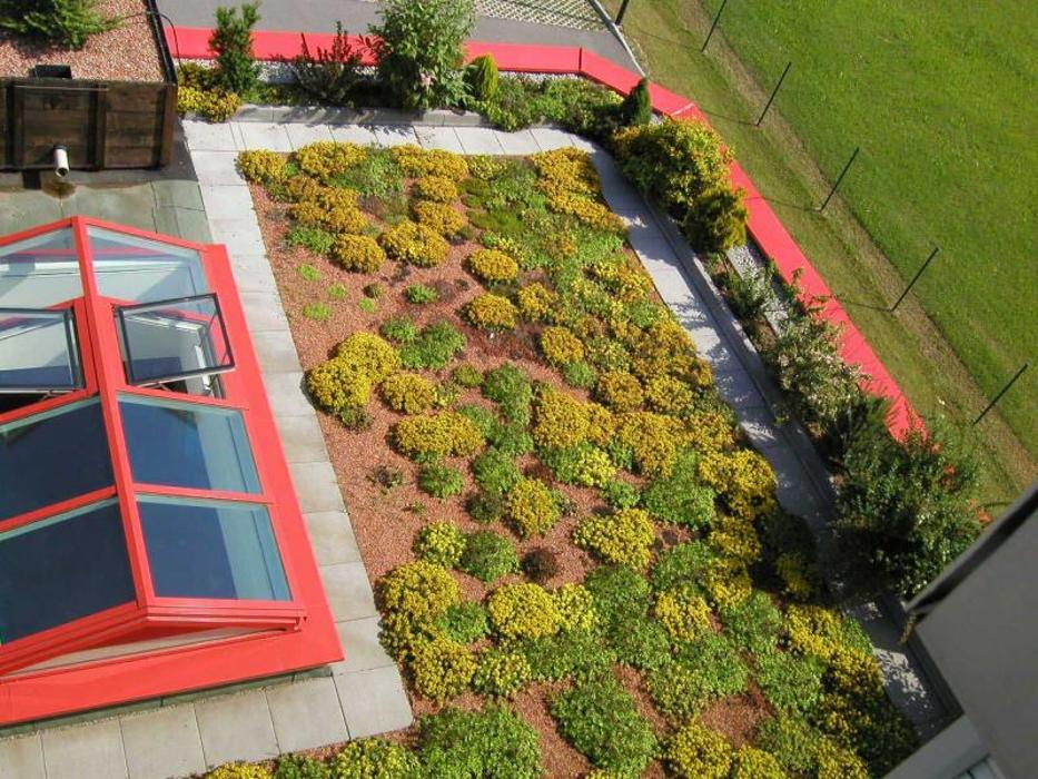 Werner Sapper Ges.m.b.H, Liebensdorf in Liebensdorf