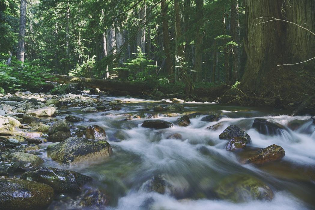 Gesundheit im Dialog Dr. med. Tanja Sierck, Am Bachfeld in Ohlstadt