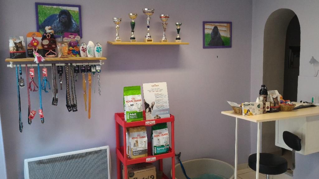 galerie image