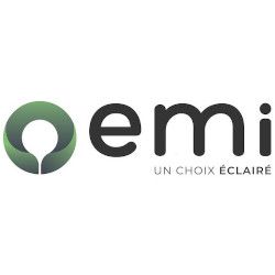 E.M.I. électricité (production, distribution, fournitures)