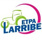 Larribe Jérôme entreprise de travaux publics