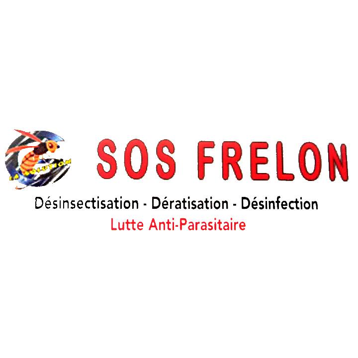 SOS FRELON VIENNE Neuvy Vincent service pour animaux