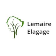 Lemaire élagage Expert
