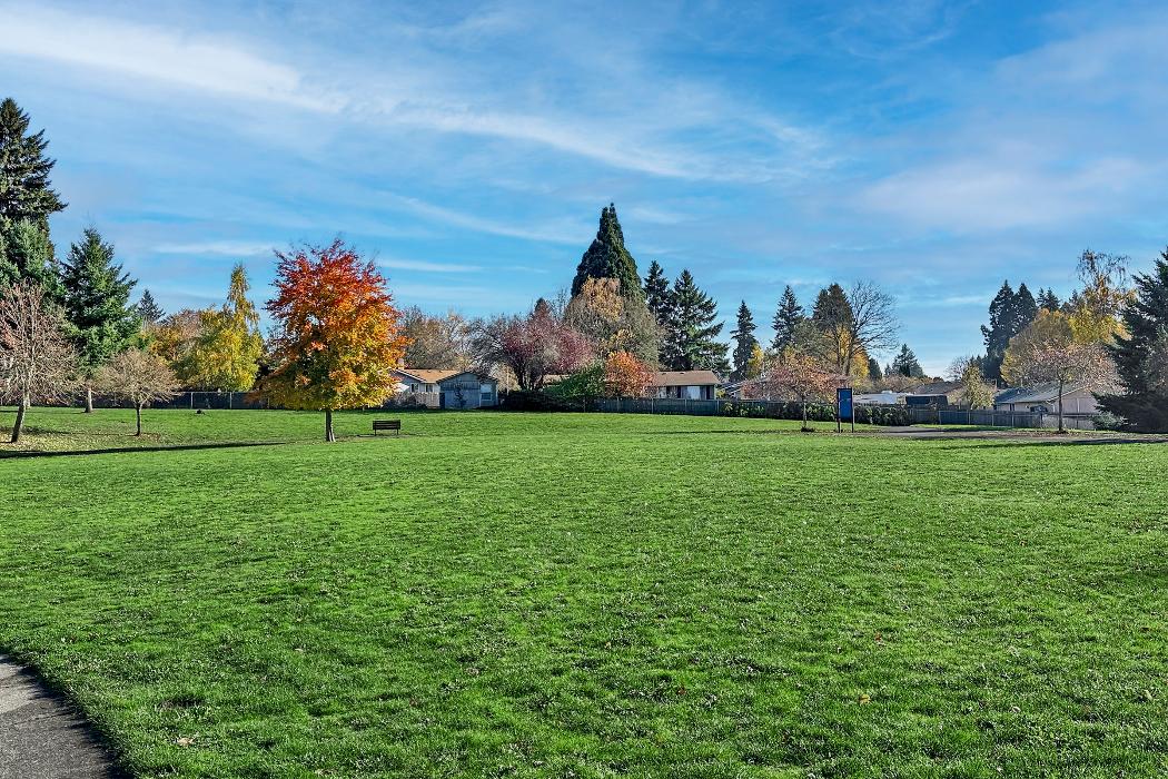 LGI Homes - Walnut Grove Image