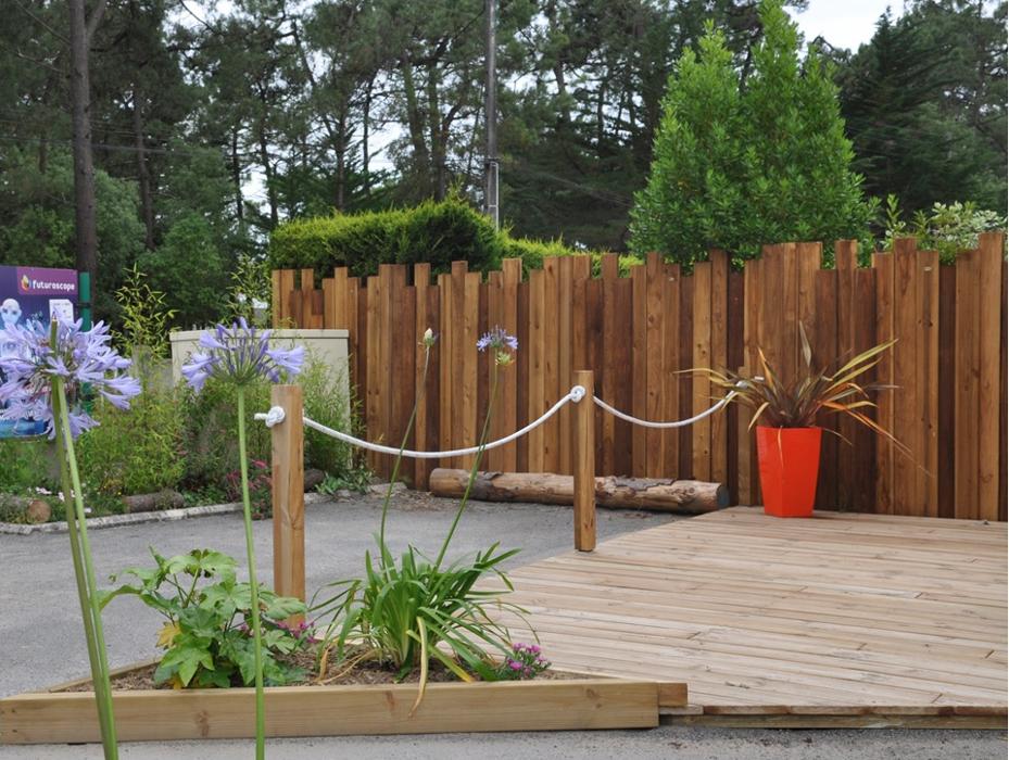 Miniature de la galerie