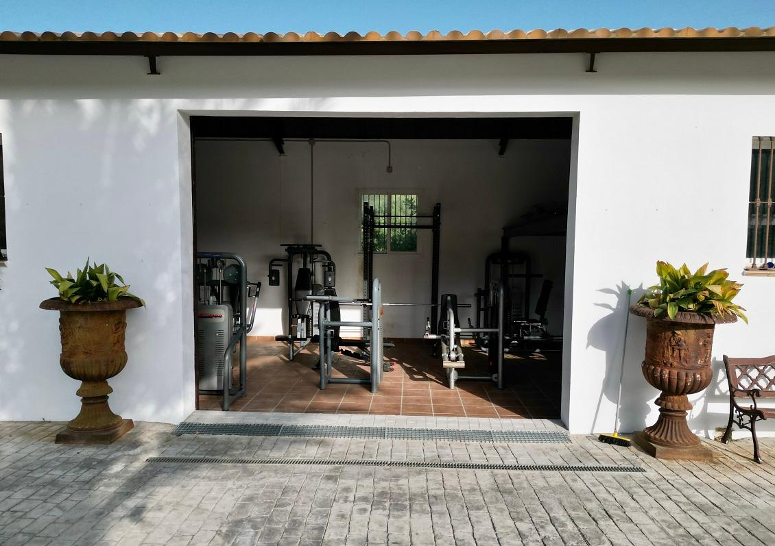 Galería en miniatura