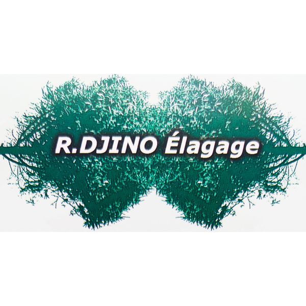 R.Djino Elagage travaux agricoles