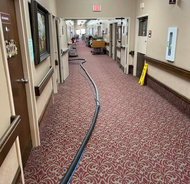 Pro Carpet & Duct Cleaning - Alexandria, LA