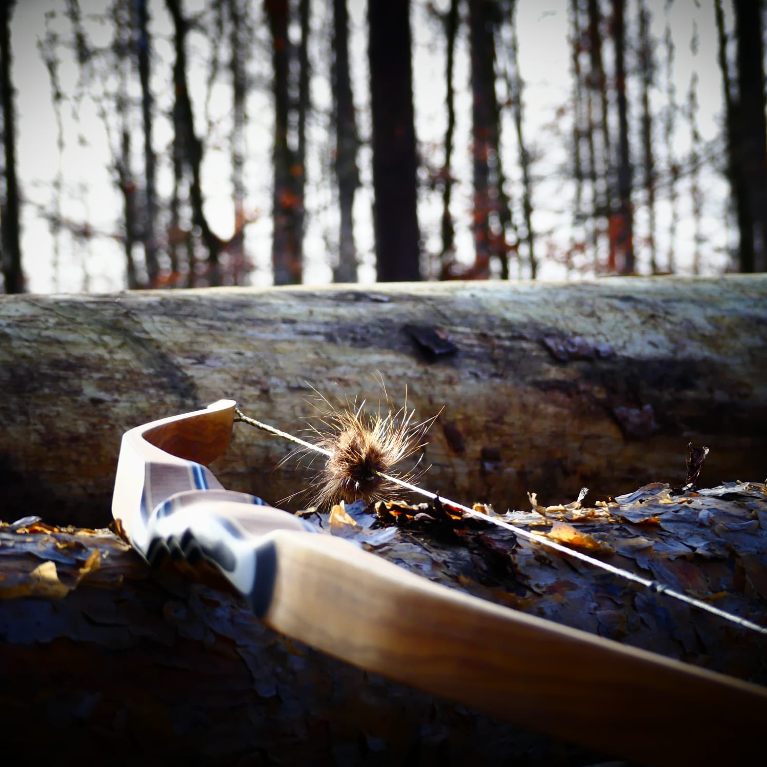 Galerie-Thumbnail