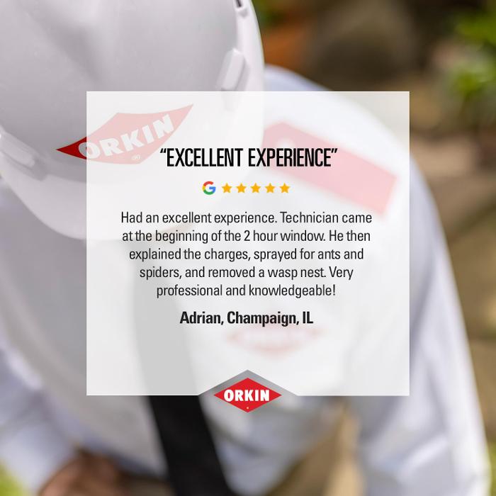 Orkin - Champaign, IL