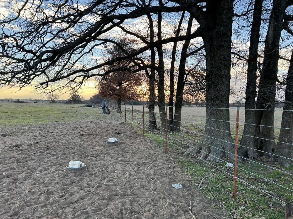 BirdLeaf Construction - Bellevue, TX