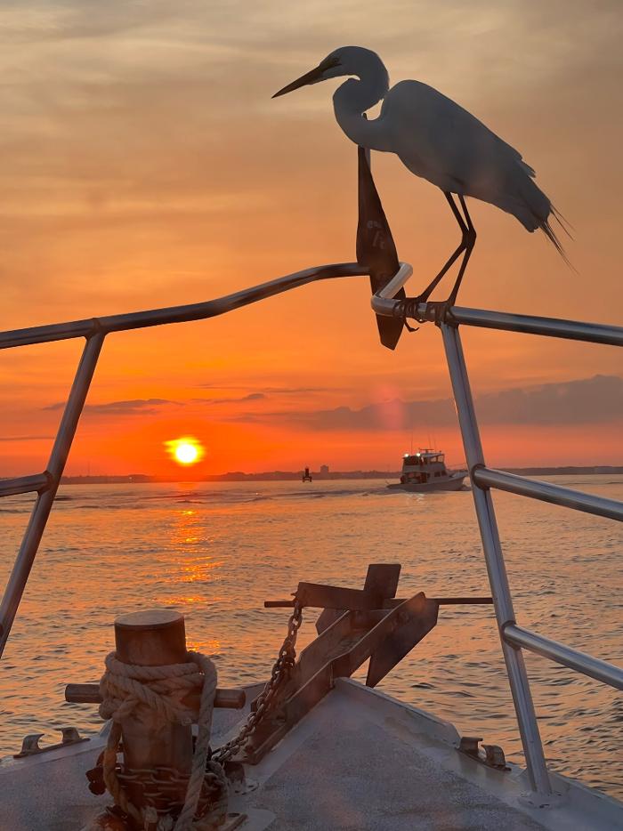 Reel GRooV Fishing Charters - Panama City, FL