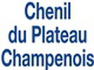 Chenil Du Plateau Champenois