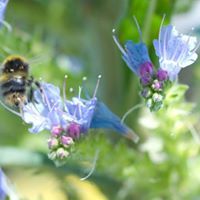 Douxjardin store (fournitures)