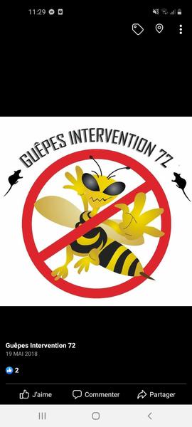 Guêpes Intervention service pour animaux