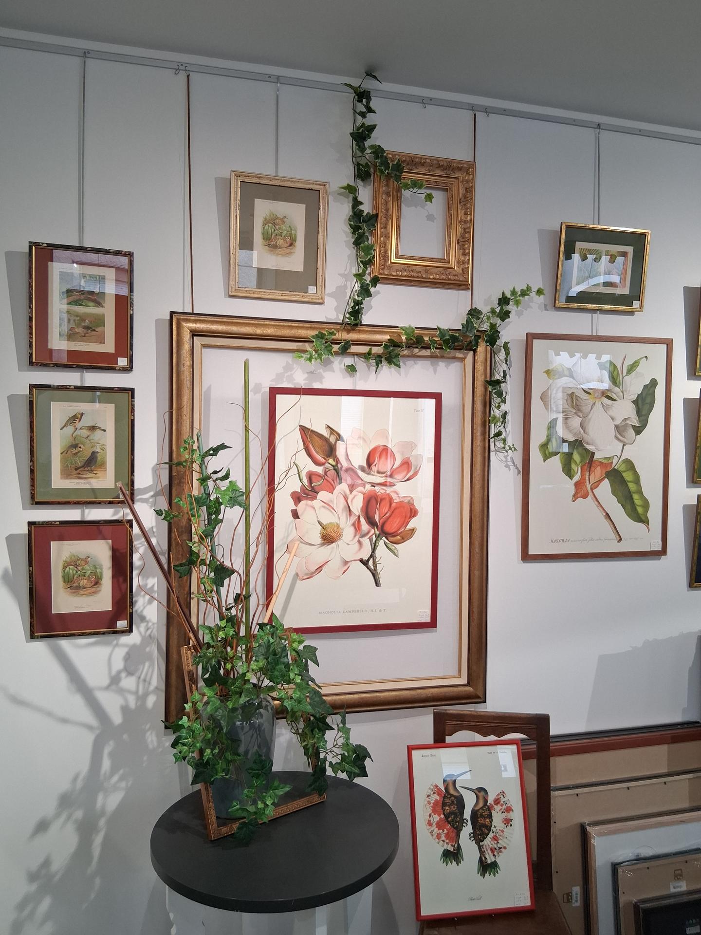 galerie image