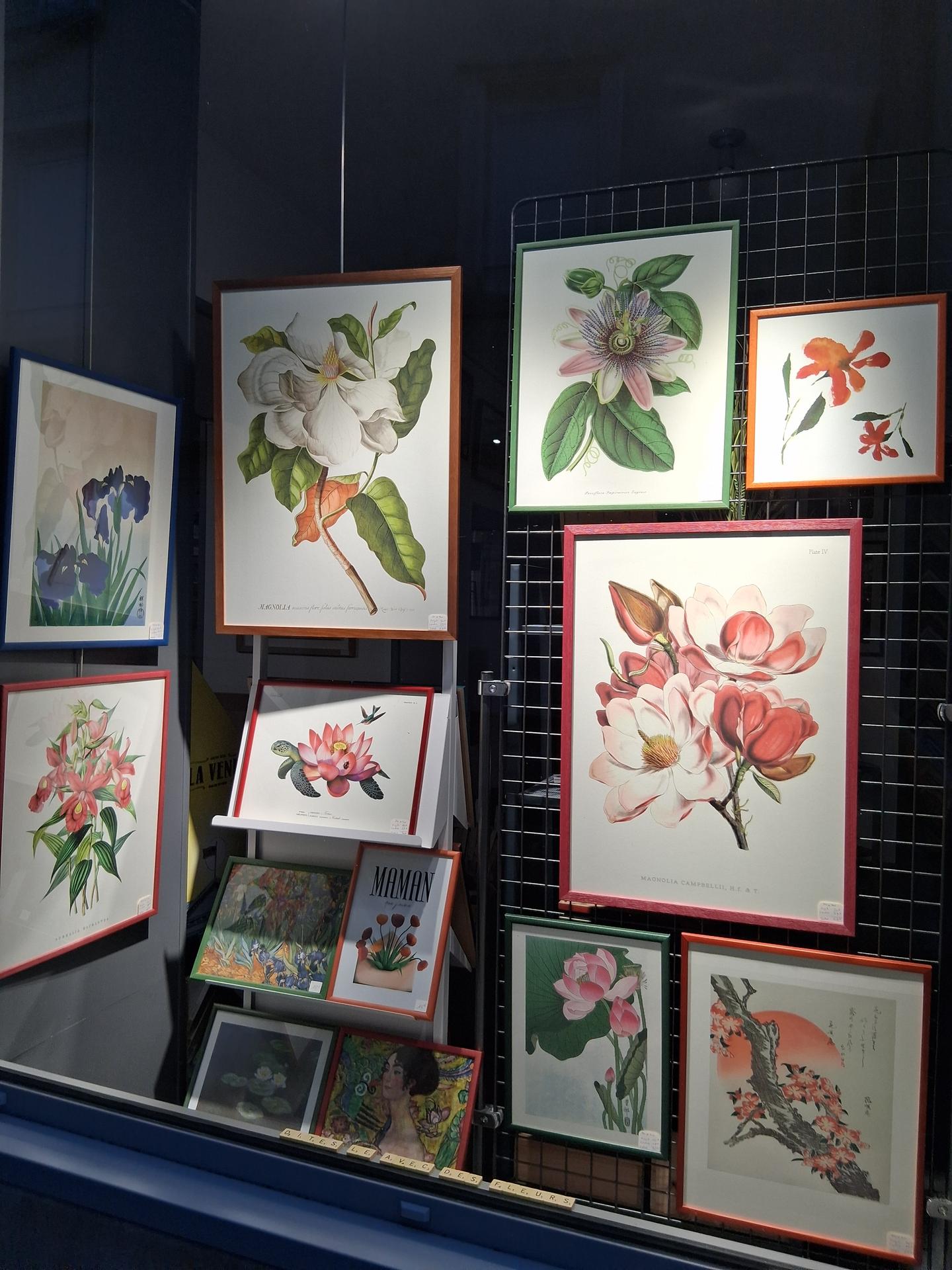 galerie image