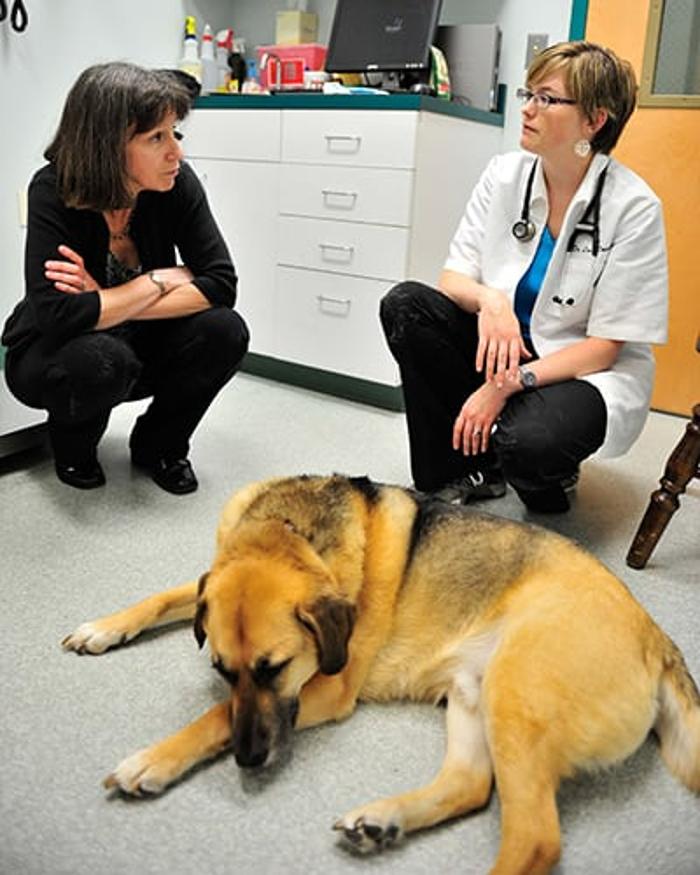 Columbia Pike Animal Hospital & Emergency Center - Annandale, VA