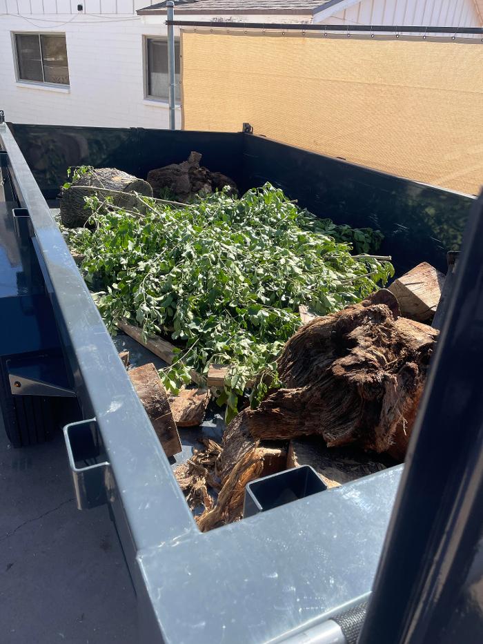 Haul It Away - Phoenix, AZ