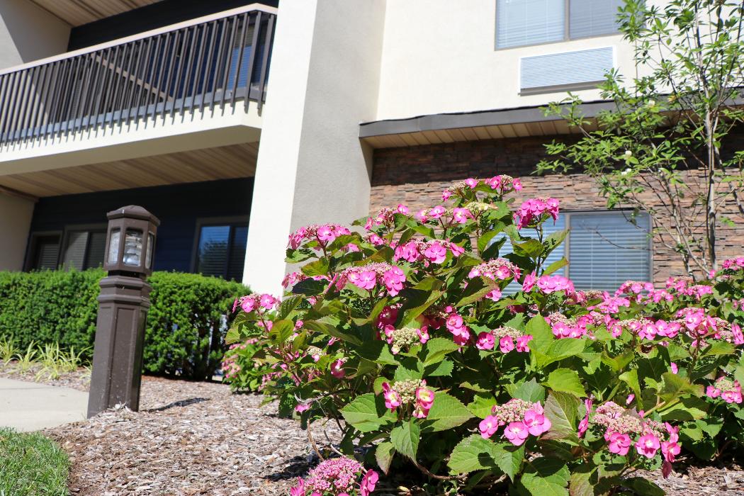 The Residences at Plainview by Chelsea Senior Living - Plainview, NY