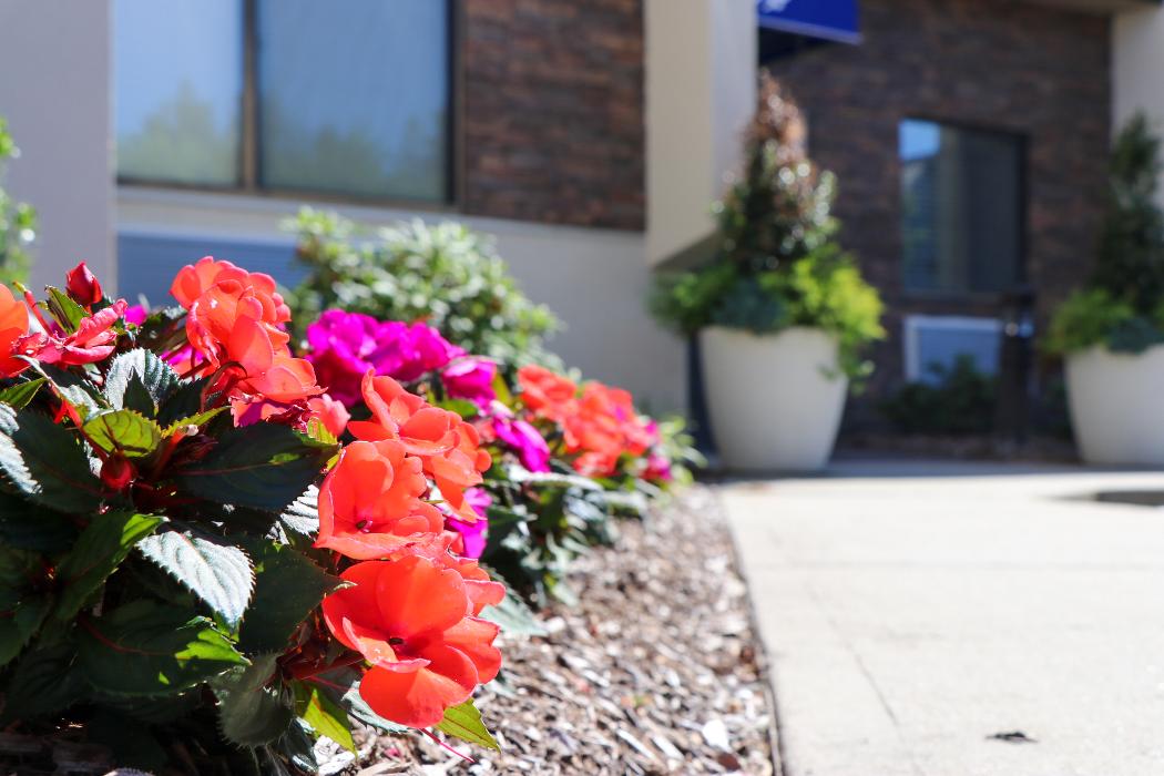 The Residences at Plainview by Chelsea Senior Living - Plainview, NY
