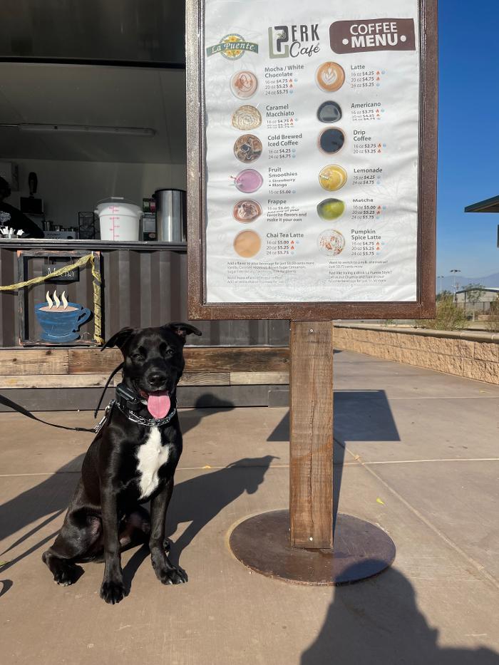 Omega Paws Dog Training - Baldwin Park, CA