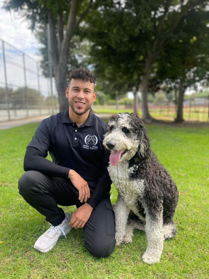 Omega Paws Dog Training - Baldwin Park, CA