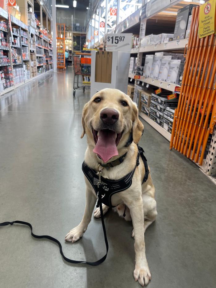 Omega Paws Dog Training - Baldwin Park, CA