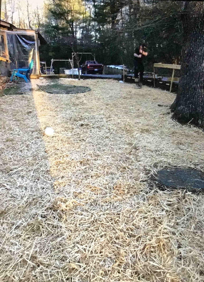 All About Septic - Mills River Image