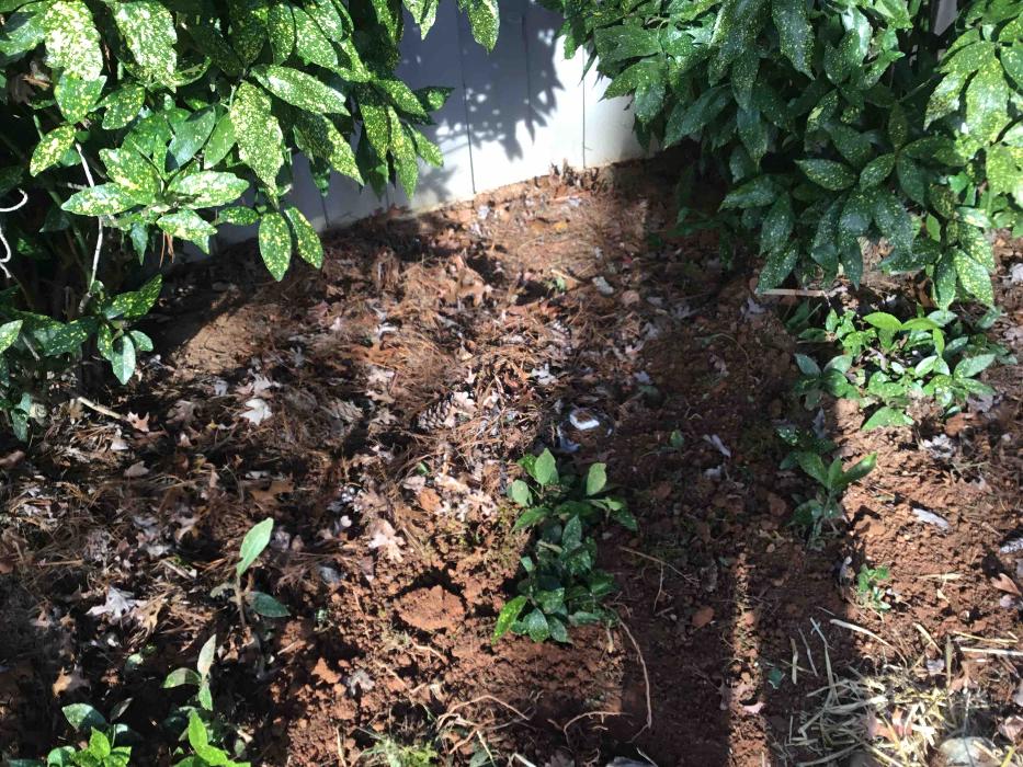 All About Septic - Mills River Image