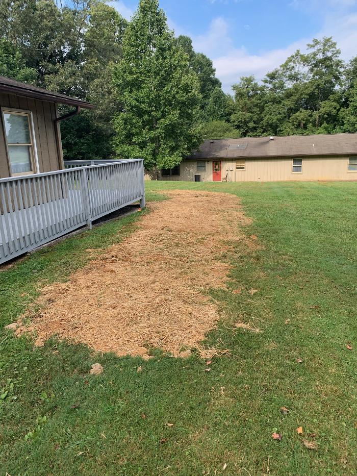 All About Septic - Mills River Image