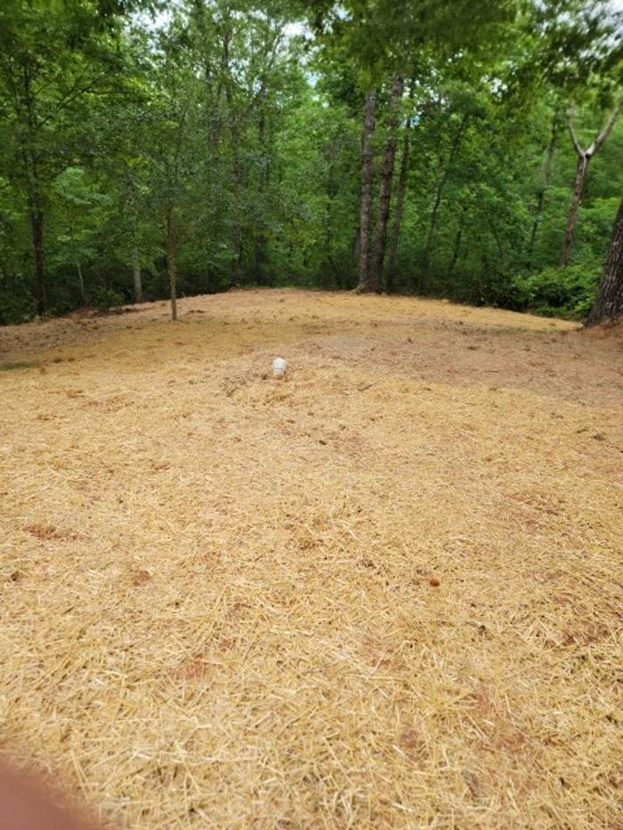 All About Septic - Mills River Image