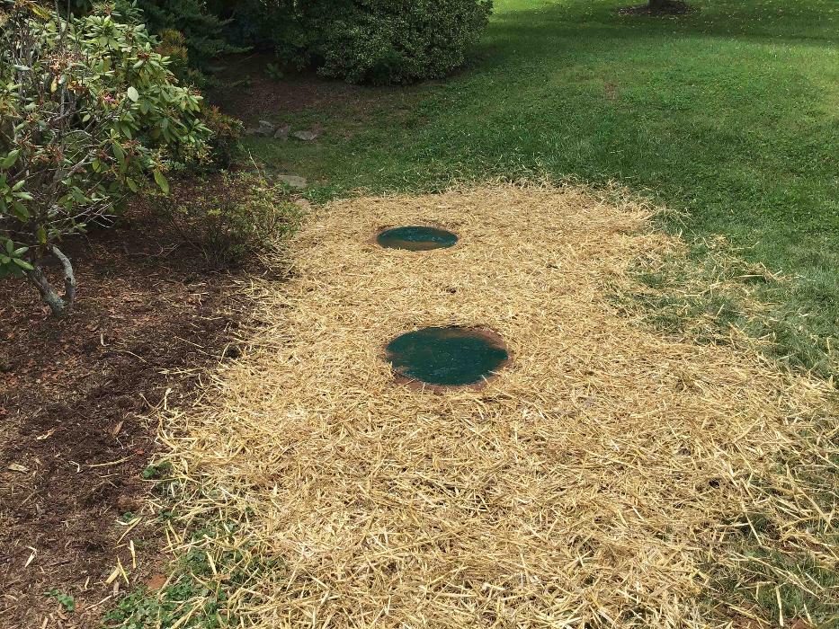 All About Septic - Mills River Image