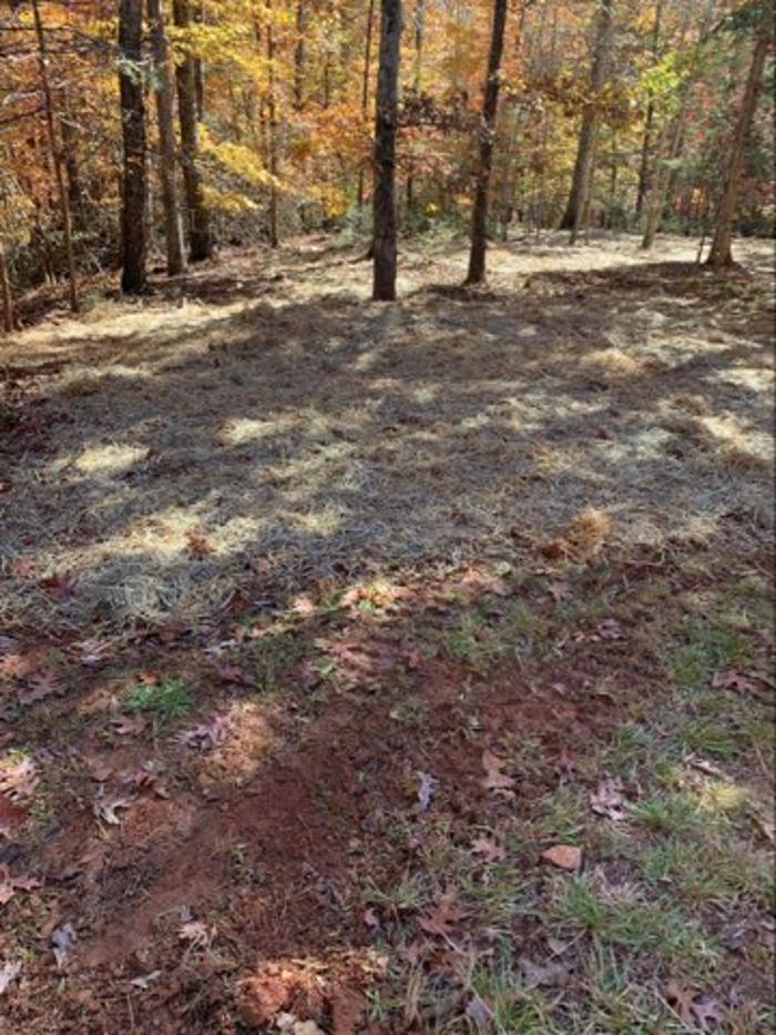 All About Septic - Mills River Image