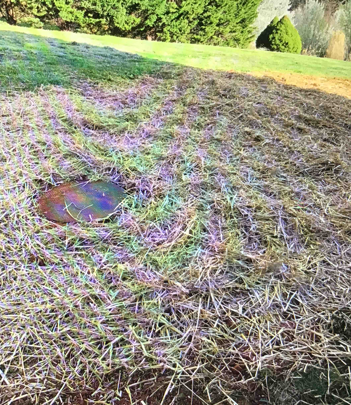 All About Septic - Mills River Image