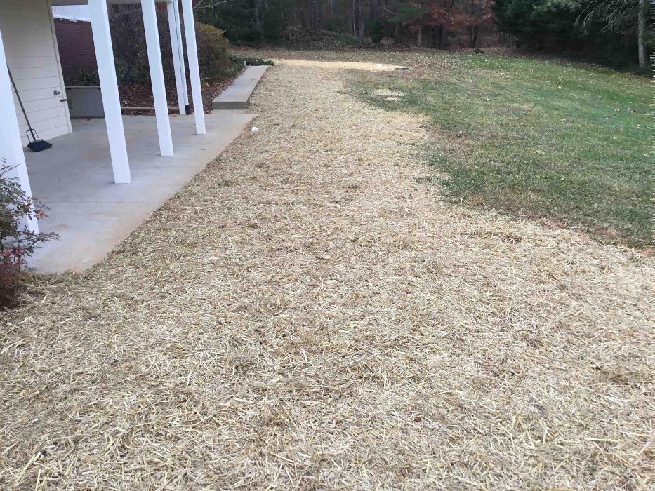 All About Septic - Mills River Image