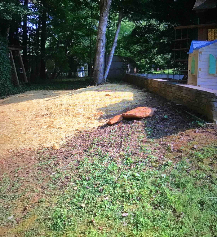 All About Septic - Mills River Image