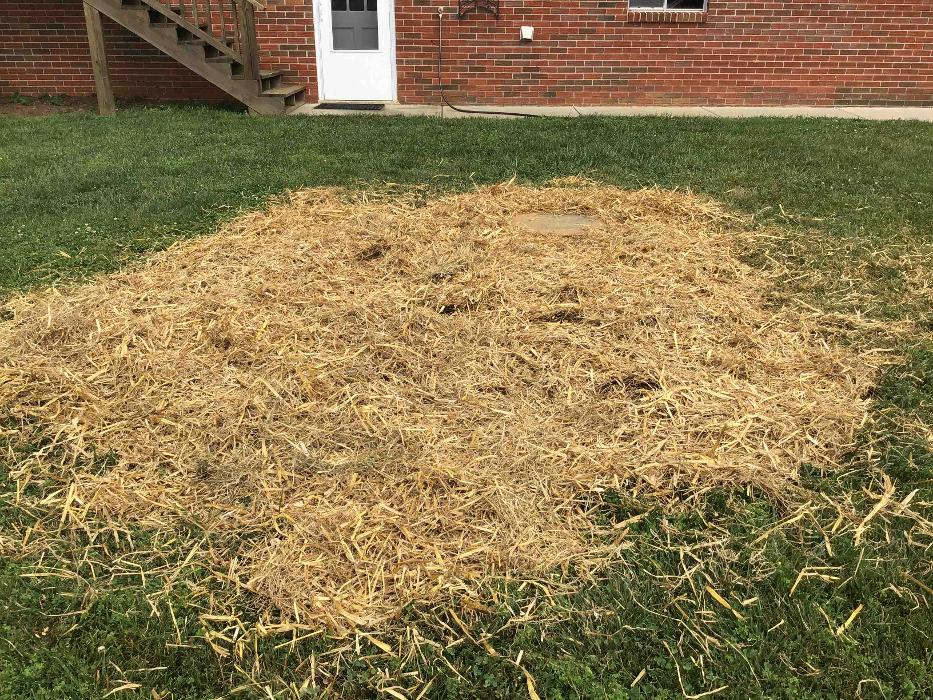 All About Septic - Mills River Image