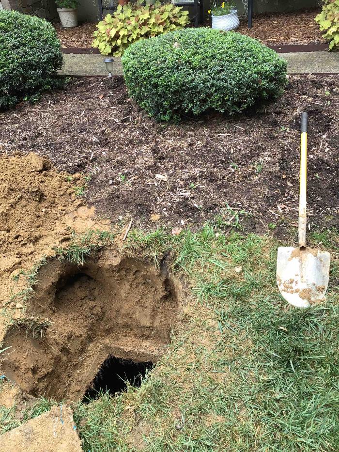 All About Septic - Mills River Image