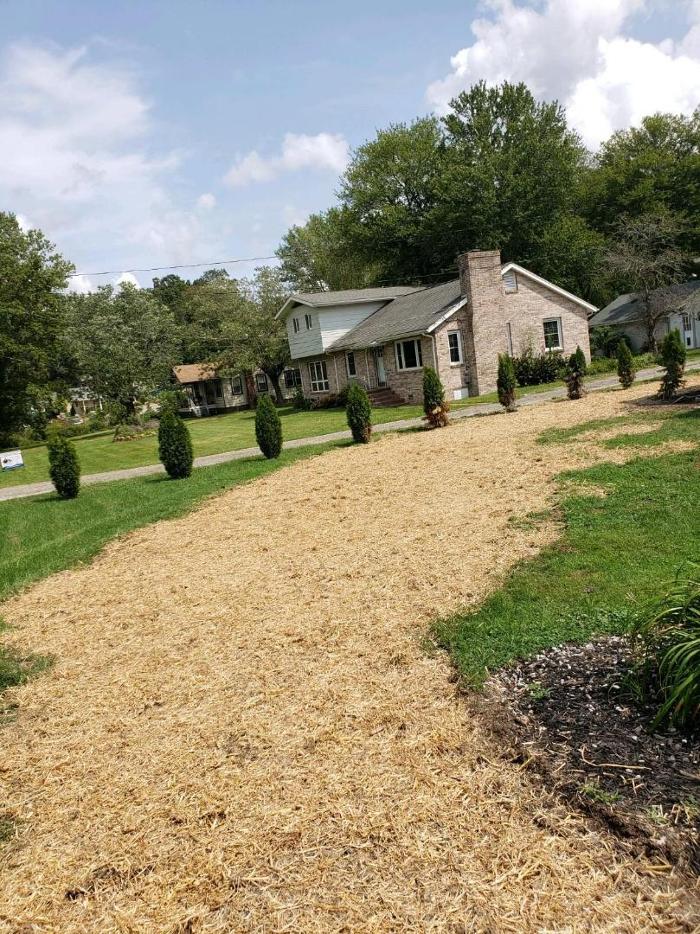 All About Septic - Mills River Image