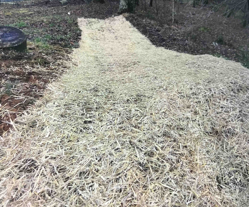 All About Septic - Mills River Image