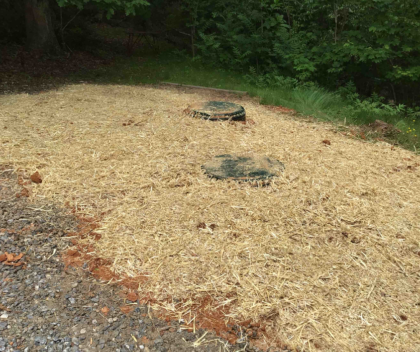 All About Septic - Mills River Image