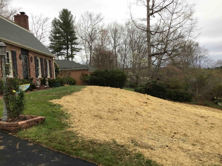 All About Septic - Mills River Image