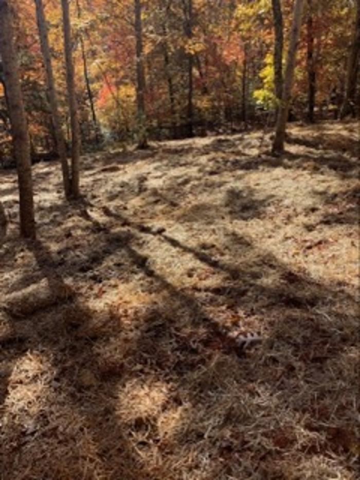 All About Septic - Mills River Image