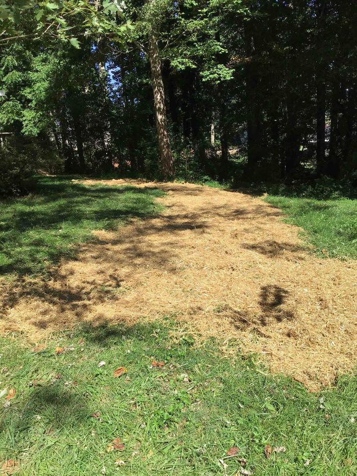 All About Septic - Mills River Image