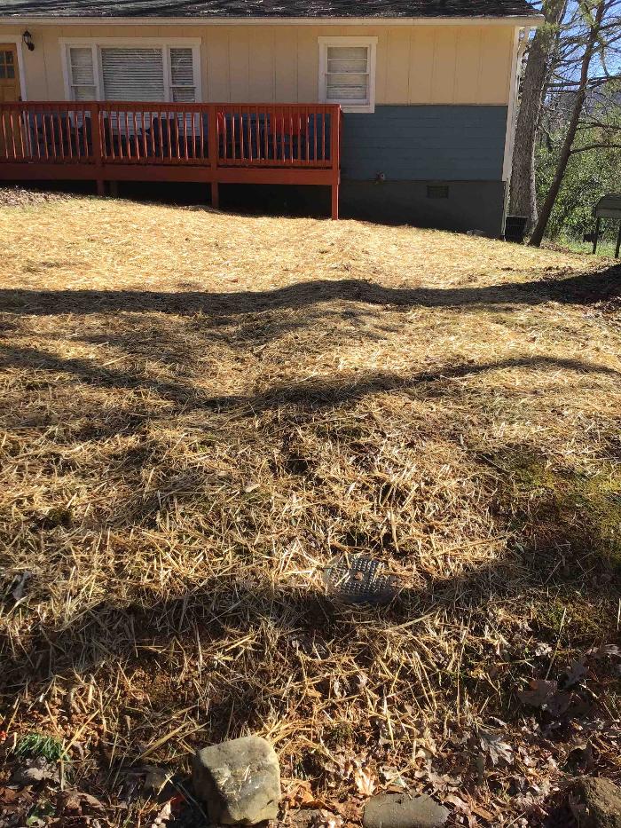 All About Septic - Mills River Image