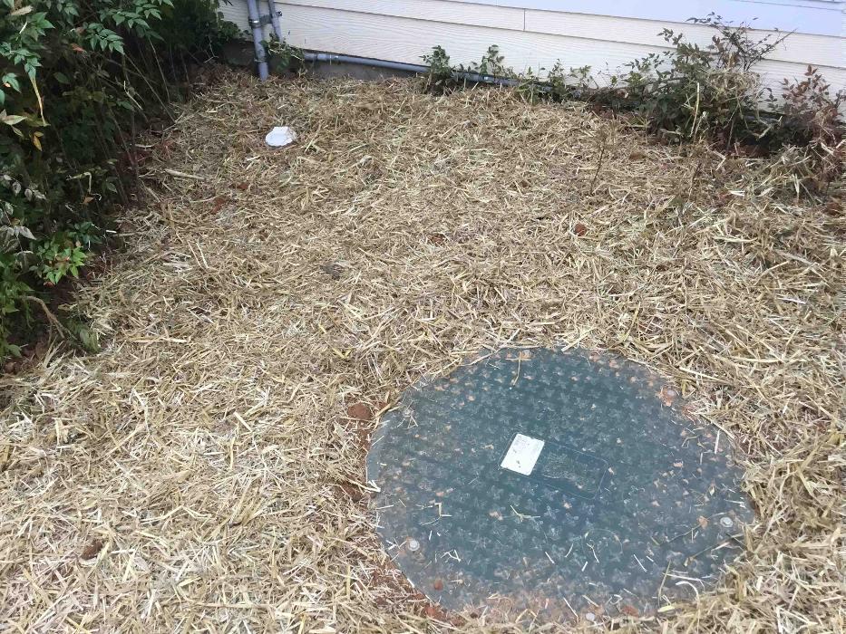 All About Septic - Mills River Image