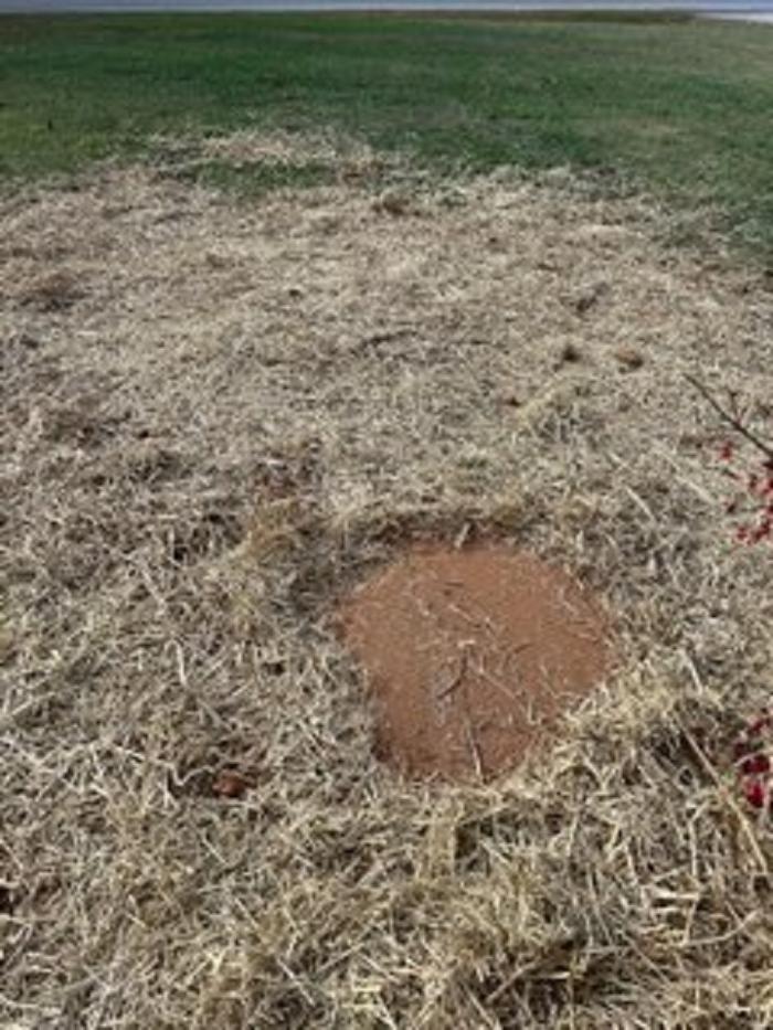 All About Septic - Mills River Image