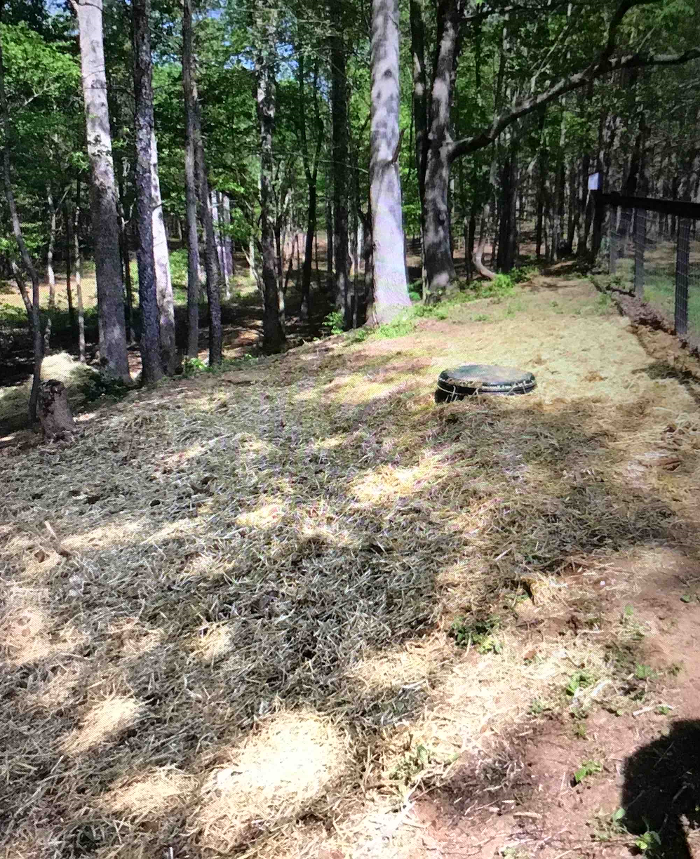 All About Septic - Mills River Image