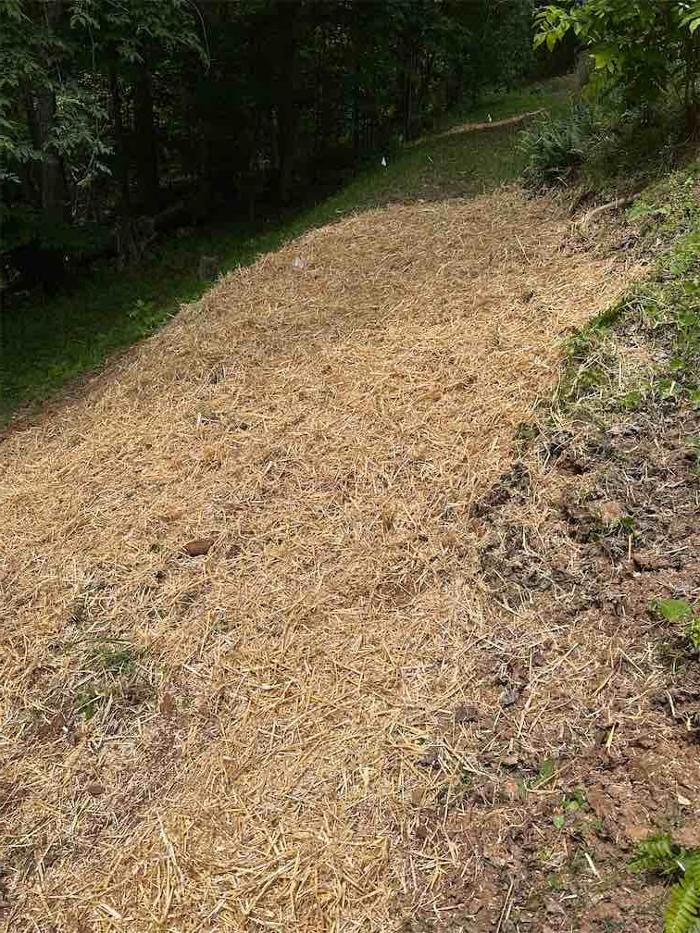 All About Septic - Mills River Image